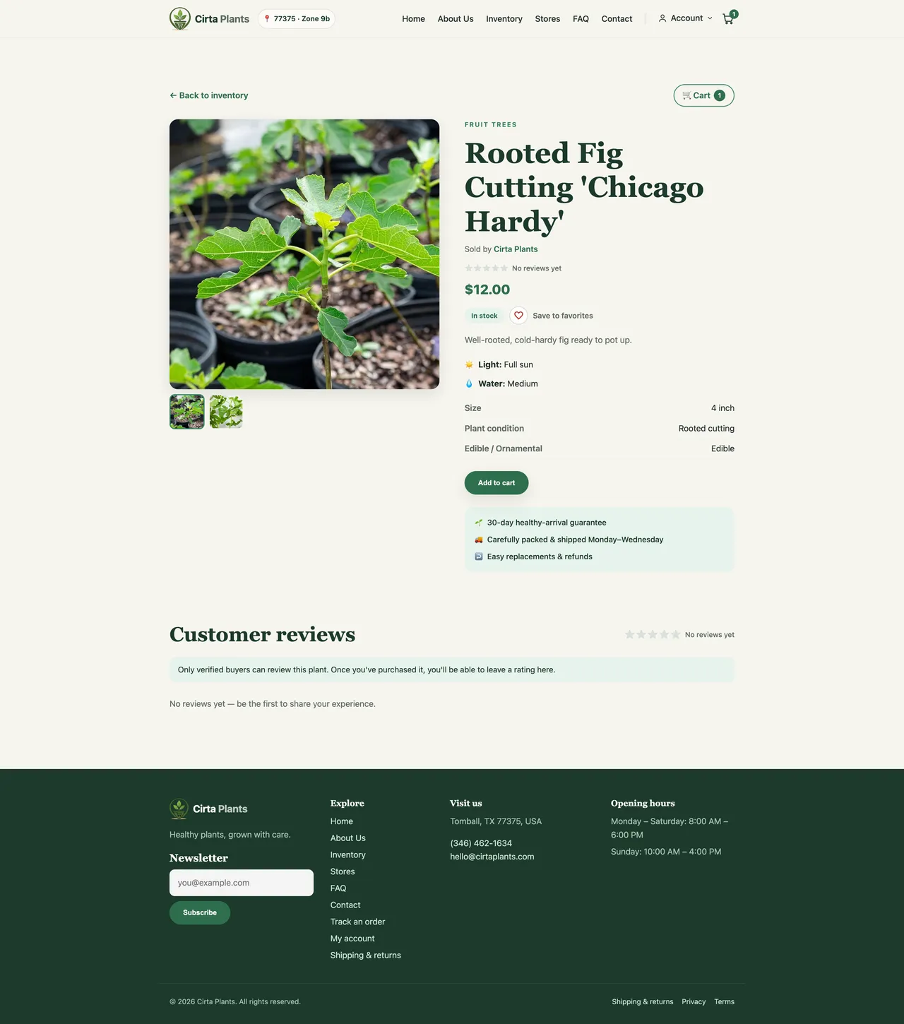 A product page for a rooted fig cutting with photos, price, light and water needs, size, condition and a healthy-arrival guarantee
